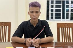 Bắt giữ đối tượng trộm 8 chiếc điện thoại iPhone trong cửa hàng