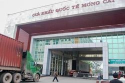 Năm 2023, xuất khẩu sang Trung Quốc tăng mạnh, hưởng lợi là nhóm nông lâm thủy sản