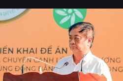 Phát động đề án 1 triệu ha chuyên canh lúa chất lượng cao tại Hậu Giang