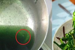 Loại rau 'vừa rẻ vừa ngon' nhưng rất độc với những người này