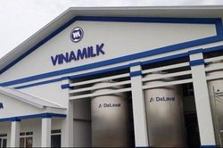 Vinamilk chuẩn bị chi nghìn tỷ tạm ứng cổ tức năm 2023
