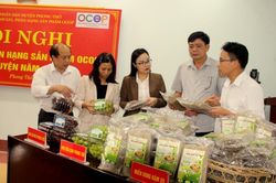 Đánh giá, phân hạng sản phẩm OCOP năm 2023