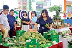 Tìm hướng xuất ngoại cho sản phẩm OCOP