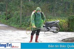 Bệnh dịch tả lợn Châu Phi ở Cam Lộ đã qua 21 ngày không phát sinh trường hợp mới