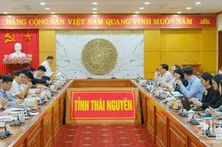 Lãnh đạo tỉnh làm việc với Đoàn công tác của Ngân hàng Thế giới
