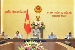 Năm 2024 có thể xem xét, sửa đổi Luật Thuế giá trị gia tăng