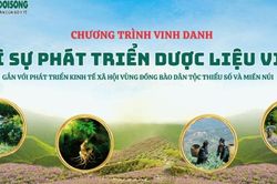 Hơn 40 doanh nghiệp, HTX, hộ cá thể được lựa chọn để vinh danh vì sự phát triển dược liệu Việt