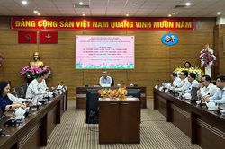 TPHCM tuyển dụng viên chức từ nguồn sinh viên xuất sắc, cán bộ khoa học trẻ