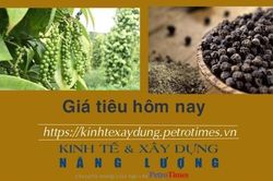 Giá tiêu hôm nay 13/12: Tiếp tục tăng thêm 1.000 đồng