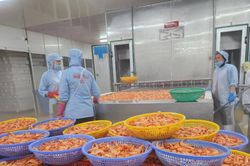 ADB nâng dự báo tăng trưởng của kinh tế châu Á, Việt Nam còn 5,2%