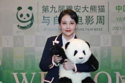 Châu Hải My gây xót xa trong lần cuối xuất hiện trước công chúng