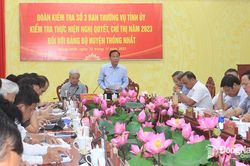 Đảng bộ huyện Thống Nhất: Thực hiện đạt và vượt 40/46 chỉ tiêu năm 2023