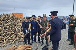 Tăng vai trò của hải quan trong 'xanh hóa' hoạt động thương mại