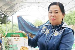 Nông dân từ vỡ nợ đến trở thành tỷ phú nhờ trồng tre lục trúc lấy măng