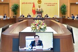 Các vụ lừa đảo qua mạng, nạn nhân lên đến hàng chục nghìn người