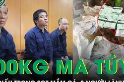 3 người lĩnh án tử vì cất giấu gần 100kg ma túy trong 4 sọt mắm cá
