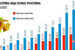 Định hình tầm mức mới quan hệ Việt - Trung