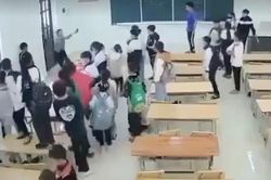 Kiểm tra, xử lý nghiêm các vụ việc bạo lực học đường, xúc phạm giáo viên
