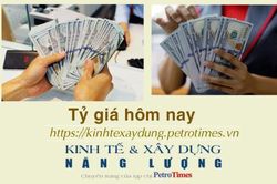 Tỷ giá ngoại tệ hôm nay 14/12: Đồng USD xuống mốc 102