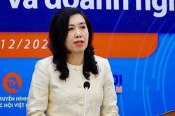 Khoảng 600.000 người Việt Nam ở nước ngoài là nhân lực chất lượng cao