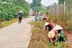 3 bài học và 3 giải pháp của phụ nữ Di Linh trong xây dựng nông thôn mới