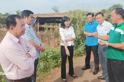 Liên kết để xây dựng hệ sinh thái hợp tác xã chăn nuôi