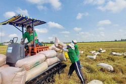Nhiều dấu ấn khẳng định vai trò 'bà đỡ' của Hội nông dân các cấp