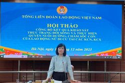 Tăng cường bảo vệ quyền lợi cho lao động nữ di cư