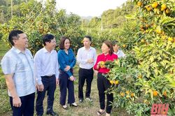 Tham quan mô hình kinh tế du lịch, nông nghiệp công nghệ cao tại huyện Thạch Thành