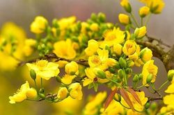 Chuẩn bị tốt các điều kiện phục vụ nhân dân đón Tết Nguyên đán Giáp Thìn 2024