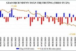 Vì sao khối ngoại liên tục bán ròng?