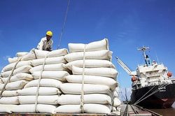 Nhiều cơ hội tăng tốc xuất khẩu gạo
