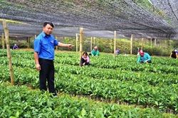 Sức trẻ góp phần xóa nghèo ở vùng đồng bào DTTS