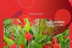 Ký ức màu hoa