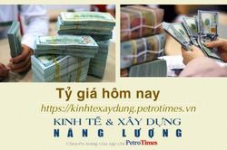 Tỷ giá ngoại tệ hôm nay 16/12: Đồng USD hồi phục sau tín hiệu lãi suất có thể giảm