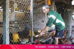 Mô hình sinh kế tiếp sức cho người nghèo TP Hà Tĩnh