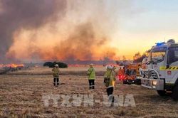 Australia cảnh báo cháy rừng ở nhiều khu vực do thời tiết nắng nóng
