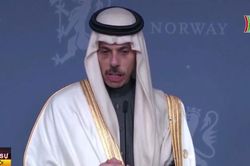Các nước Arab - Hồi giáo và Bắc Âu thảo luận về Gaza