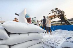 Nâng tầm hạt gạo Việt