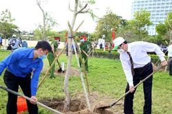 Năm 2024, thành phố Hà Nội trồng khoảng 250.000 cây xanh các loại