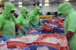 Doanh nghiệp 'kêu' phải tiếp quá nhiều đoàn thanh tra
