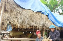 Tăng cường các biện pháp bảo vệ đàn gia súc trước rét đậm, rét hại