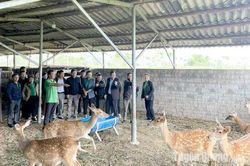Đánh giá việc thực hiện Dự án về tuyên truyền, vận động nông dân xử lý rác thải