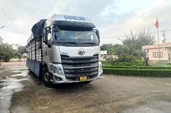 Xe tải chở cả 'núi' đường nhập lậu trên QL1A