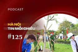 Hà Nội sẽ phủ xanh phố phường | Hà Nội tin mỗi chiều