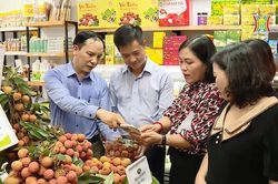 Kim ngạch xuất khẩu rau quả năm 2024 dự kiến 6 tỷ USD