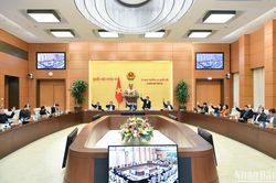 Sẽ sửa Luật Thuế giá trị gia tăng trong năm 2024