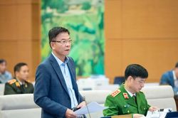Chính phủ đề nghị sửa đổi Luật Thuế giá trị gia tăng trong năm 2024
