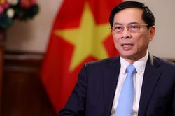 Khẳng định bản sắc 'Ngoại giao cây tre'