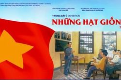 Trưng bày 'Những hạt giống đỏ'